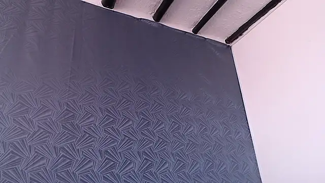 Freyja_eter webcam