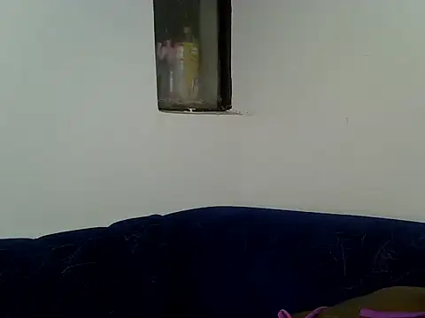 prickypvee webcam