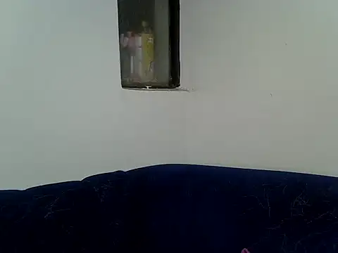 prickypvee webcam