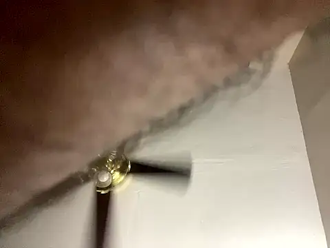 islandvybee55 webcam
