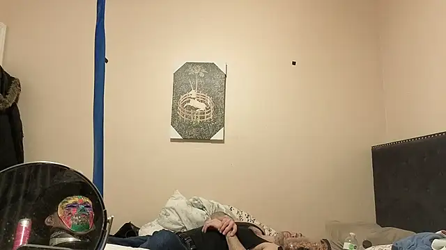 hailzeffn webcam
