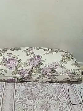 Alevsiz webcam