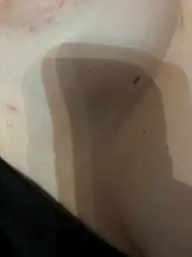 gio90979 webcam