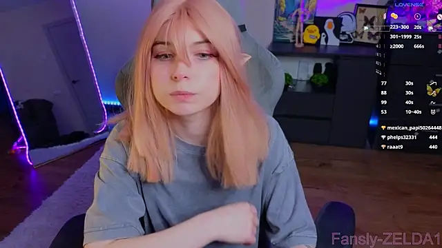 zelda_1 webcam
