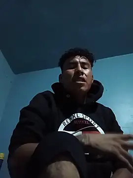 Baese-lsedd webcam