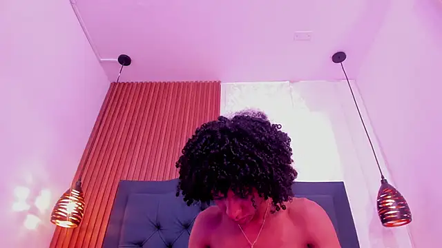 Johan_gz_ webcam