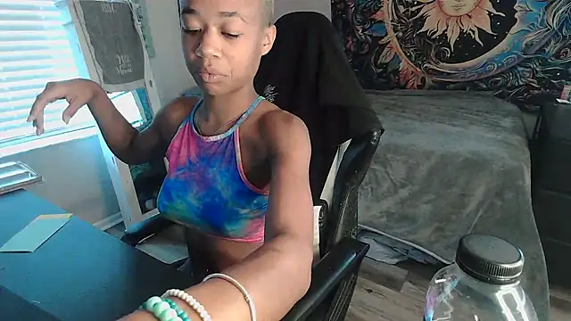 tsunamitori webcam