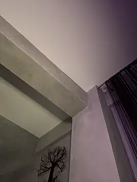 Andrestarr webcam