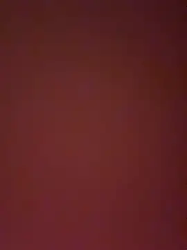 Evelyn_Anya webcam