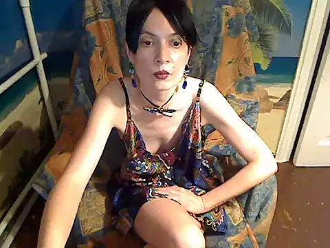 Bastet12 webcam