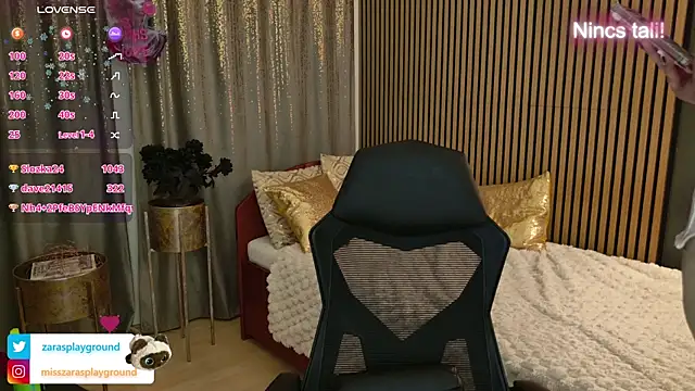ZarasPlayground webcam