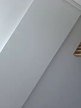 VipFOXXY webcam