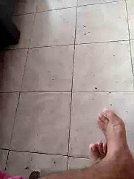 Dculizo webcam