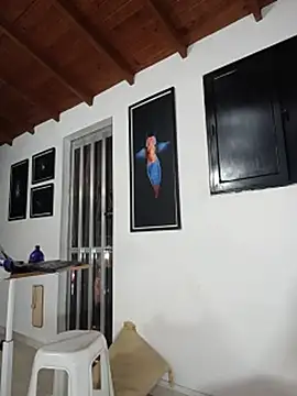 SilvaBranko webcam