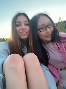 CrystalClean webcam