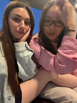CrystalClean webcam
