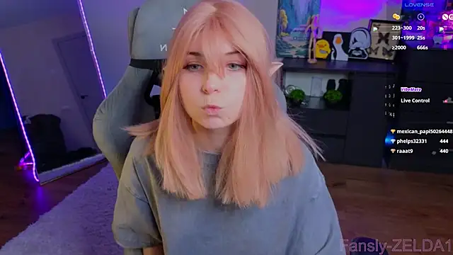 zelda_1 webcam