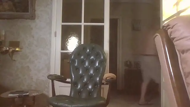 gegevincent5 webcam