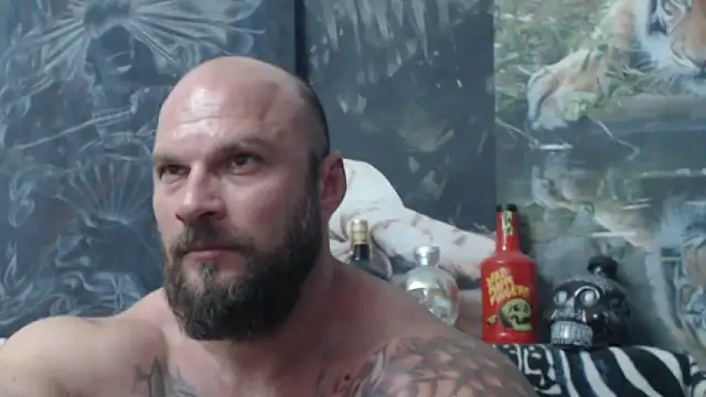 viking_30 webcam