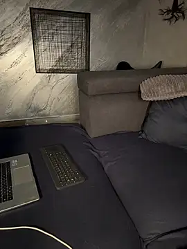 Andrestarr webcam
