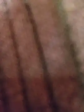 Camila_Fairy webcam