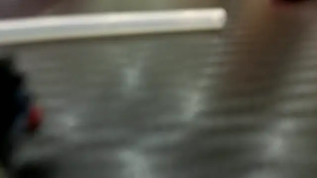 dolly_ll webcam