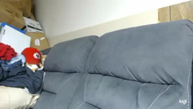 BrisonChase webcam