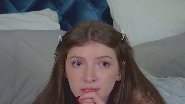 SophiaProve webcam