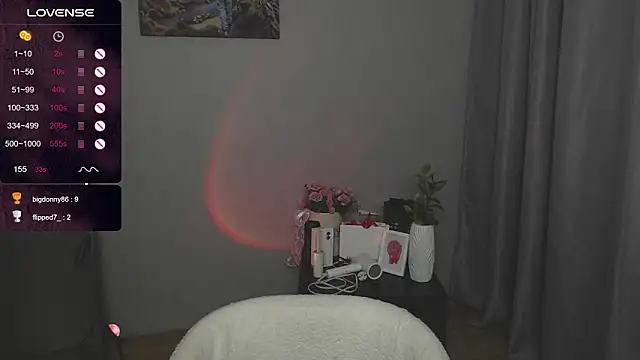 secretvic webcam