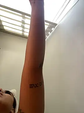 FerAlvax webcam