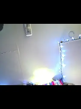 Mitchums webcam