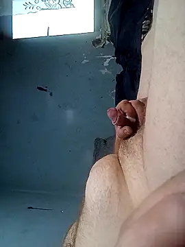 Jarektchurzewski webcam