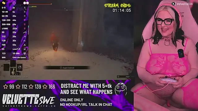 VelvetteSWE webcam