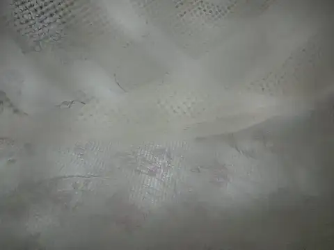 hornygirl254 webcam