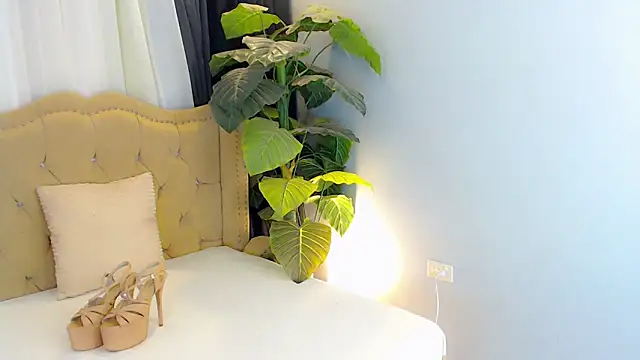 LexiLoreOnTop webcam