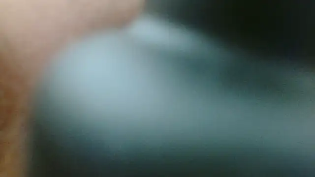 sonyx webcam
