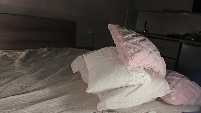 KitsuneDreams webcam