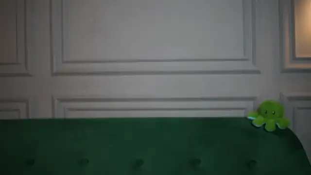 MonaPinky webcam