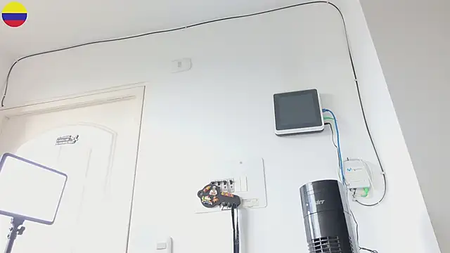 grey___27 webcam