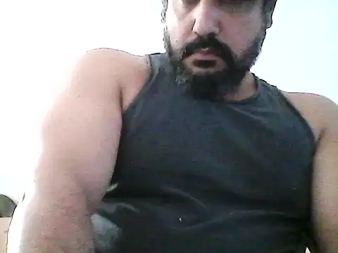 stallony live cam
