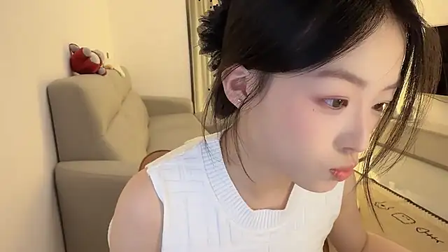 Robin-o3 webcam