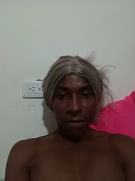 ameralis31 webcam
