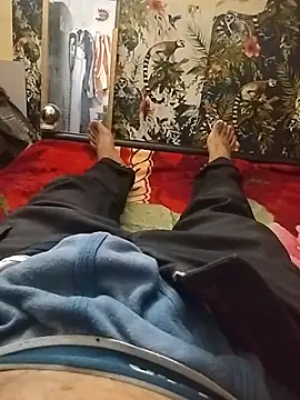Fbaig3930 webcam