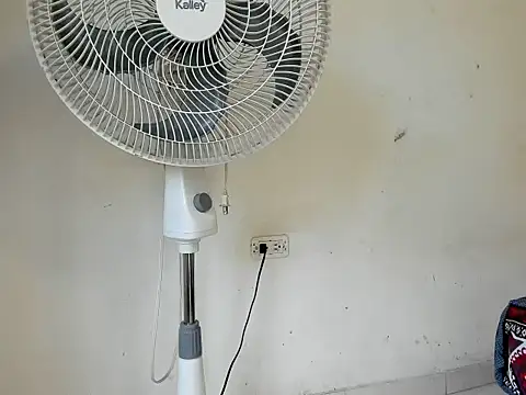 Edy_coltt webcam