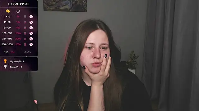 secretvic webcam