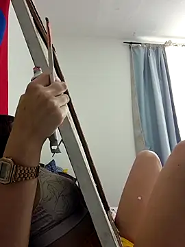 IrisBound webcam
