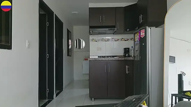 grey___27 webcam