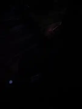 penisblock webcam