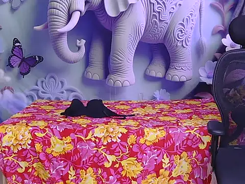 hoty-pinka webcam