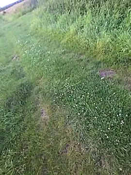 SilvyDiamond webcam